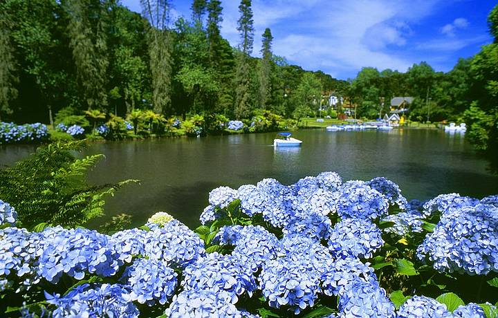 Lago Negro Gramado Veja dicas no Férias Brasil