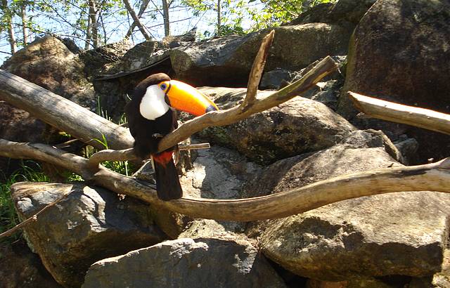 Lindo demais. Um presente da natureza!