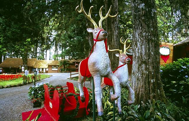 A magia do Natal marca presença o ano todo