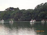 Lagoa do Taquaral