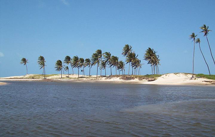 Passeio de Buggy nas Dunas 