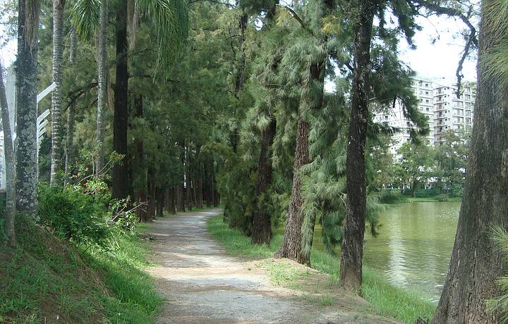 Parque Das Águas São Lourenço Veja Dicas No Férias Brasil 5247