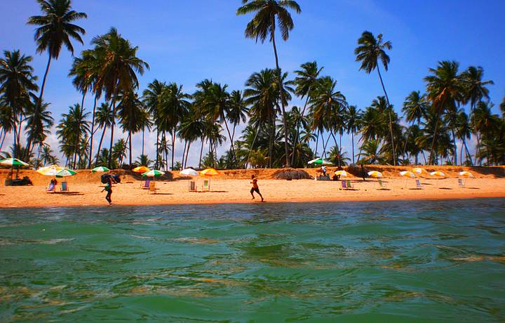 Praia do Forte, Praia do Forte - Veja dicas no Férias Brasil