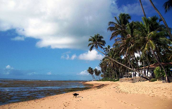 DelÃ­cias e bela paisagem