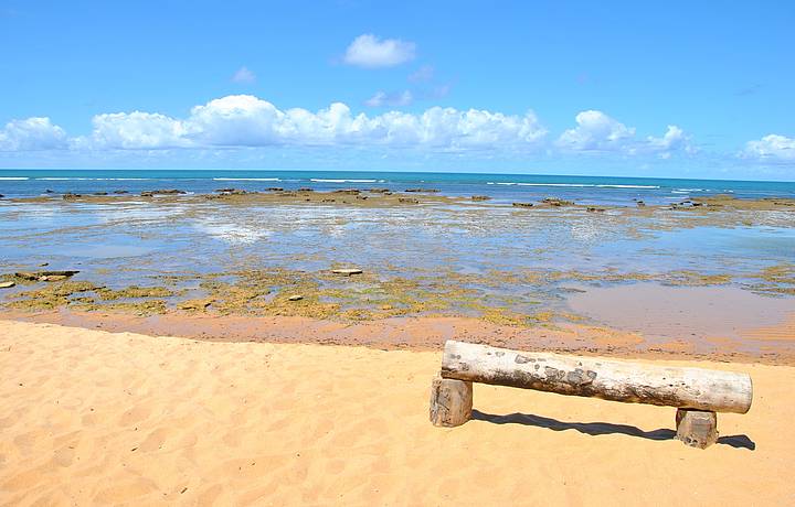 Praia do Forte, Praia do Forte - Veja dicas no Férias Brasil