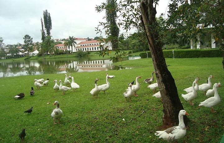 Parque Das Águas São Lourenço Veja Dicas No Férias Brasil 7945